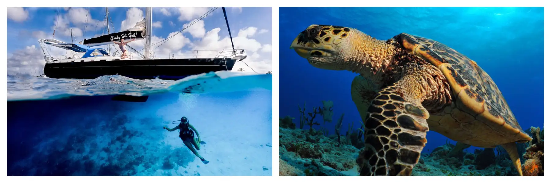 Boat Tour | Snorkeling | Diving - Explore SXM from the Water